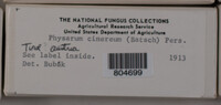 Image Associated With the Occurence